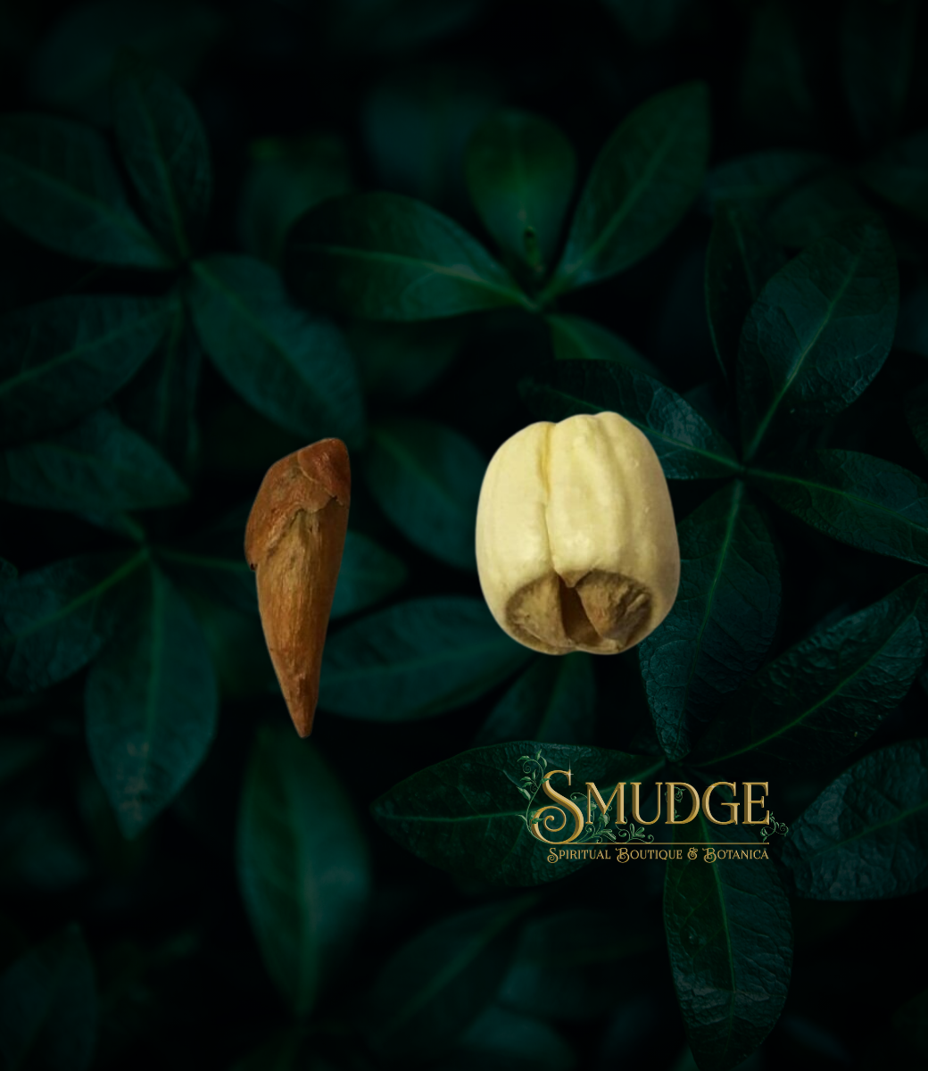 Adam & Eve Root Smudge Metaphysical