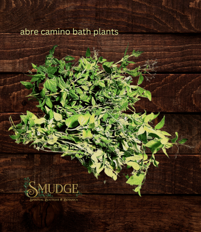 Abre Camino Road Open Bath Plants