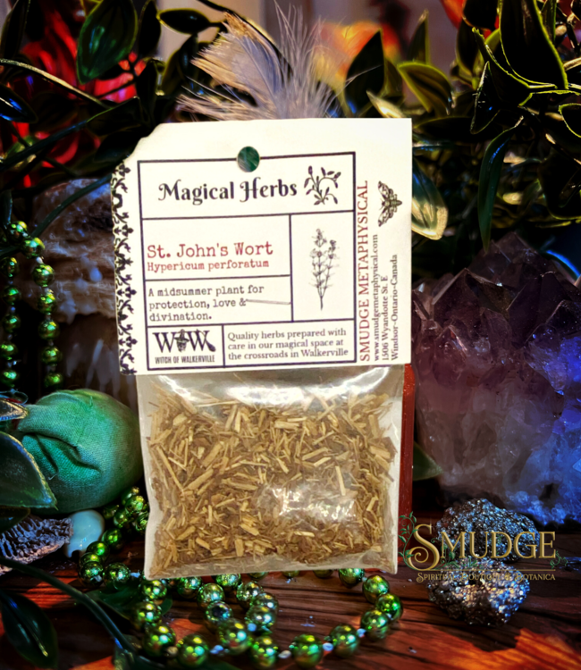 Witch of Walkerville St. John's Wort