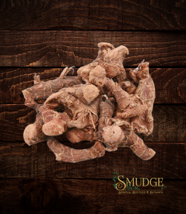 Witch of Walkerville Galangal Root whole (Little or Low John)