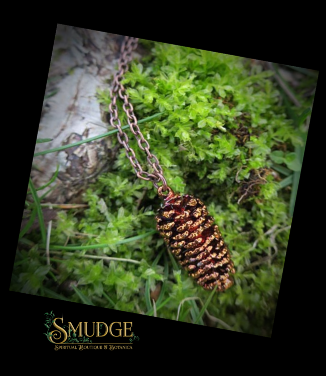 Autumn Moon Real Pine Cone Necklace
