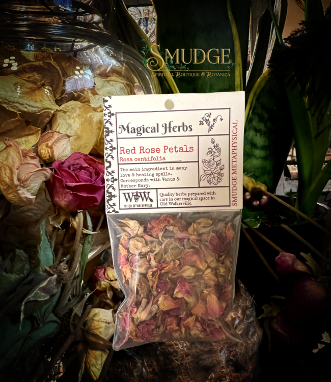 Witch of Walkerville Red Rose Petals