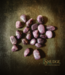 natural stone Lepidolite Tumbled medium