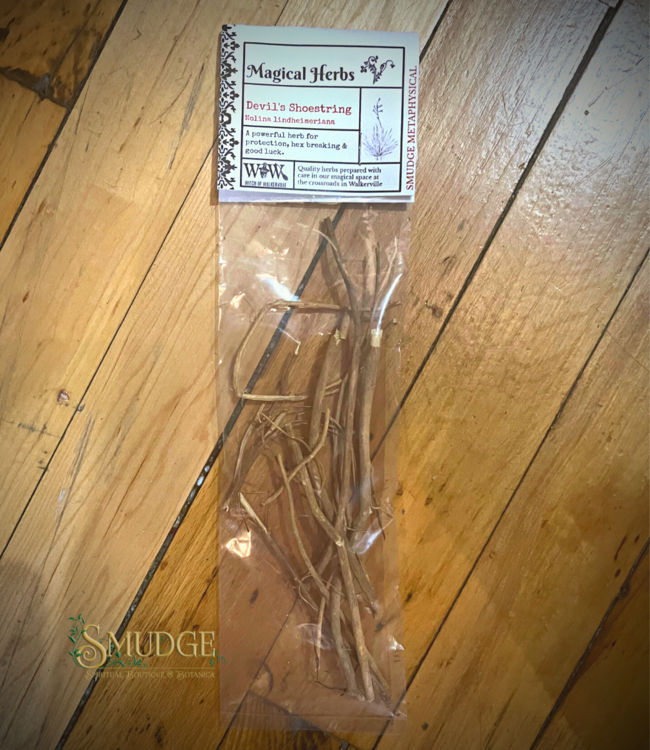 Witch of Walkerville Devil's Shoestring