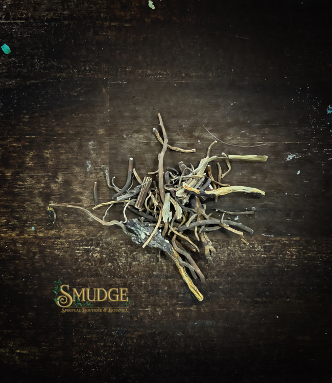 Witch of Walkerville Mandrake Root whole