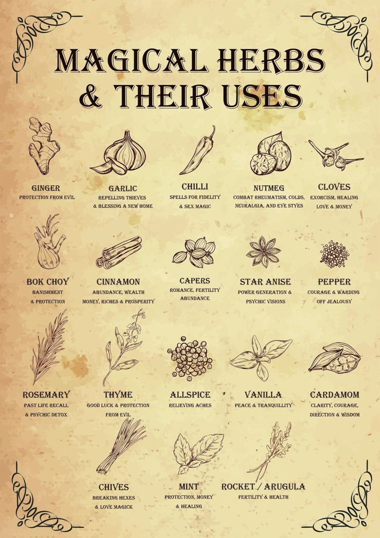 witch herbs corespondences