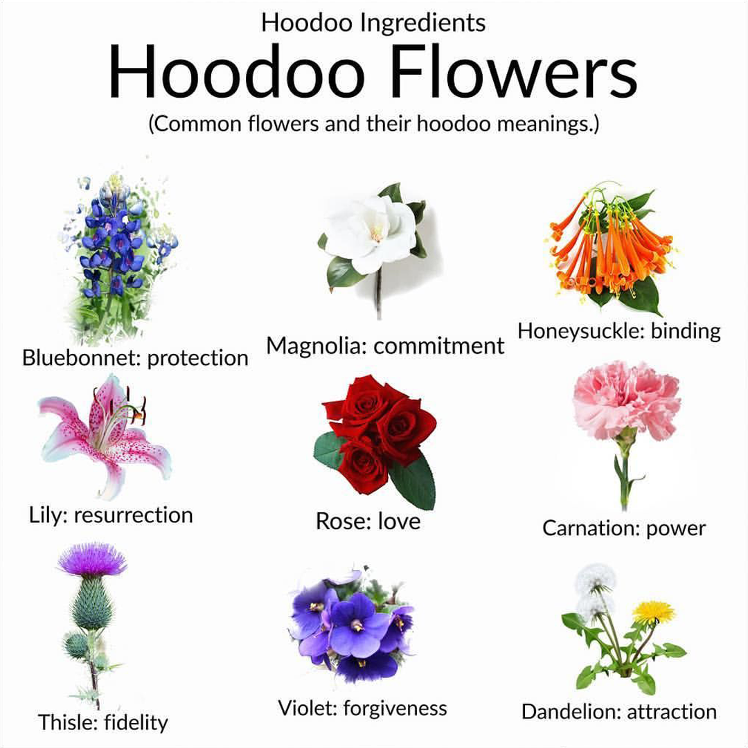 Hoodoo flowers