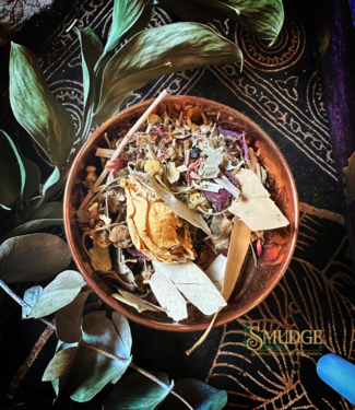 Witch of Walkerville Healing Bath Herbs Tea