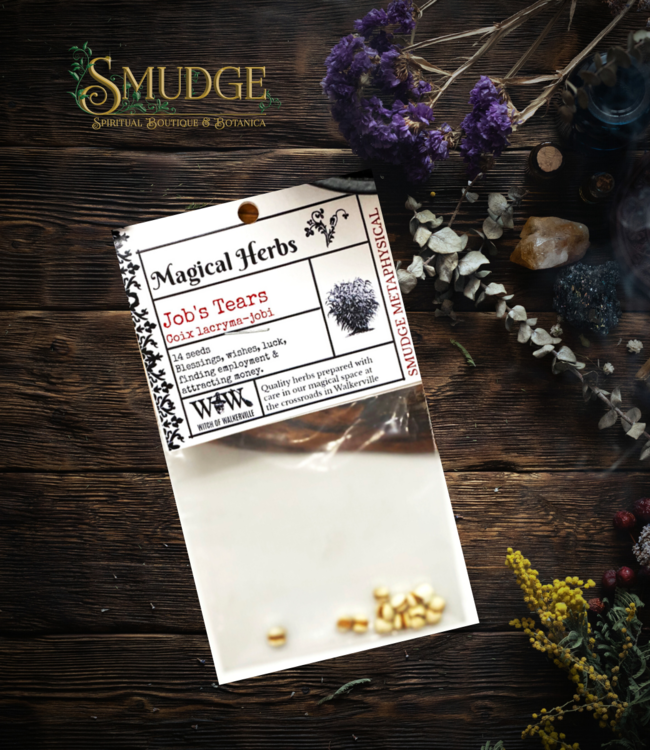 Witch of Walkerville Job's Tears 14