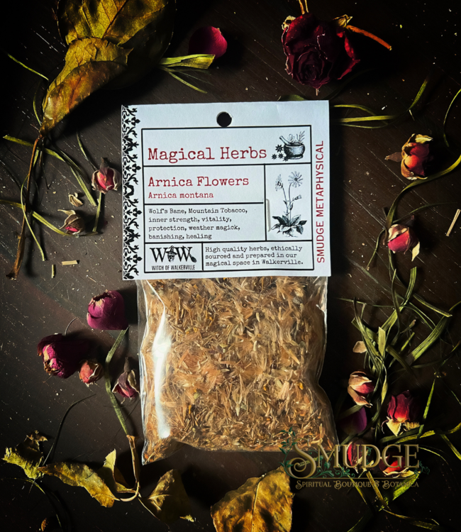 Witch of Walkerville Arnica Flowers