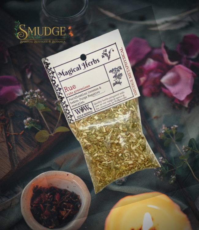 Witch of Walkerville Rue