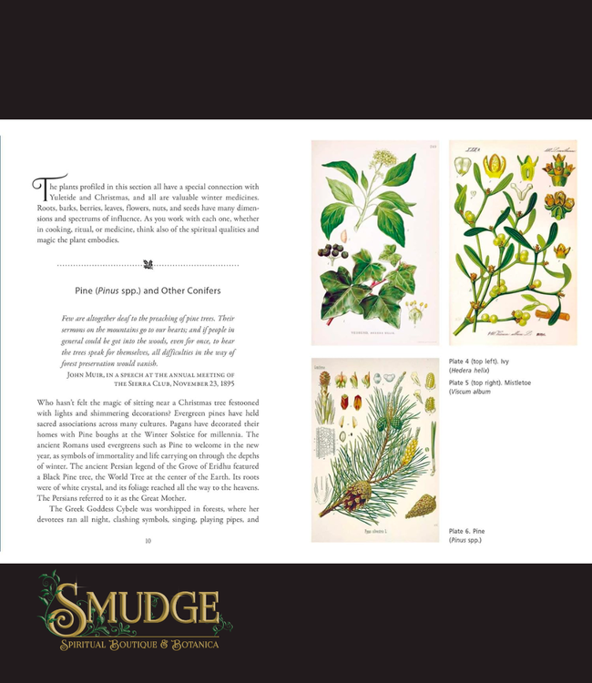 The Sacred Herbs of Yule and Christmas