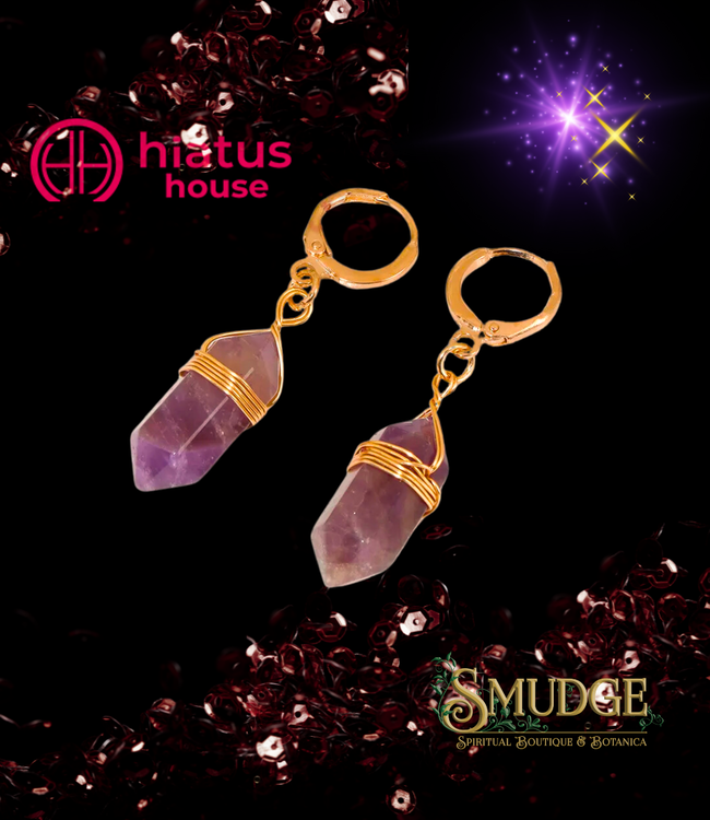 Auragem Amethyst Point Earrings