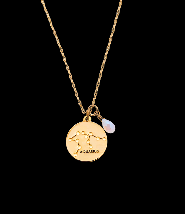 Foxy Aquarius Stargazer Necklace