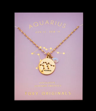 Foxy Aquarius Stargazer Necklace