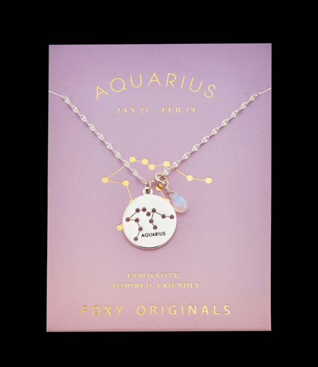 Foxy Aquarius Stargazer Necklace