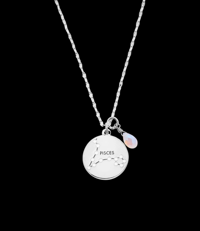 Foxy Pisces Stargazer Necklace
