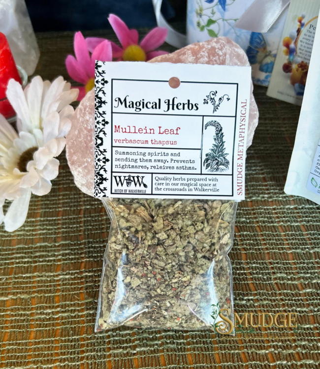 Witch of Walkerville Mullein Leaf