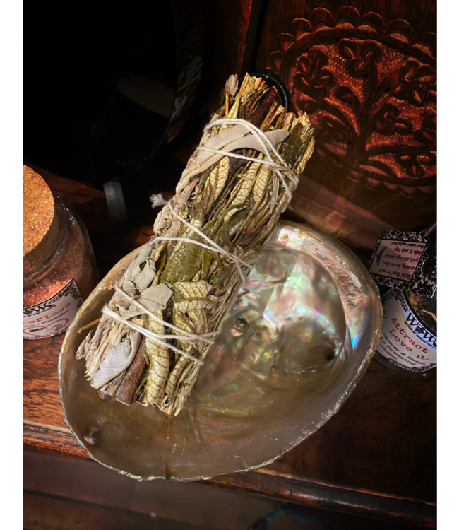 Witch of Walkerville Abalone Shell Natural X- Large 6-7"