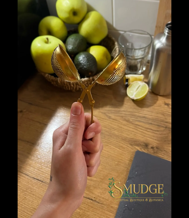 Tea Oasis Tea Infuser - Large Stainless Steel