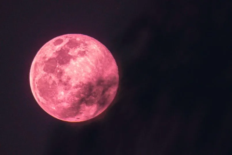 The Pink Moon: Full Moon in Scorpio