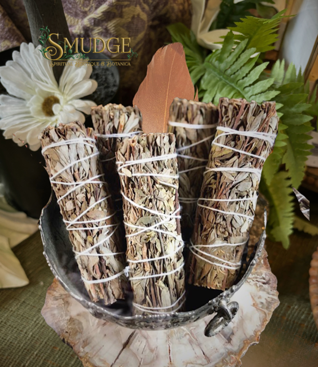 Witch of Walkerville Black Sage (Mugwort) 5"