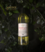 Witch of Walkerville Sandalwood & Bourbon Massage & Bath Oil