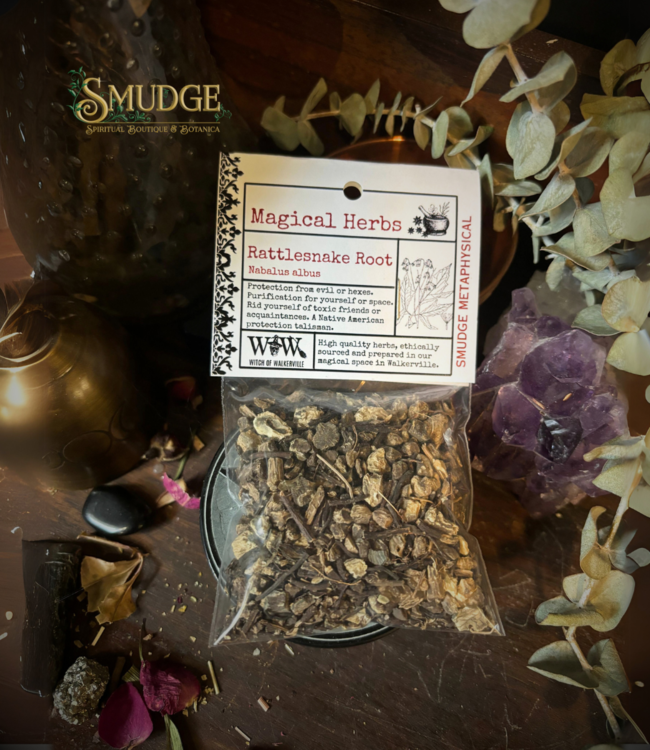 Witch of Walkerville Rattlesnake Root