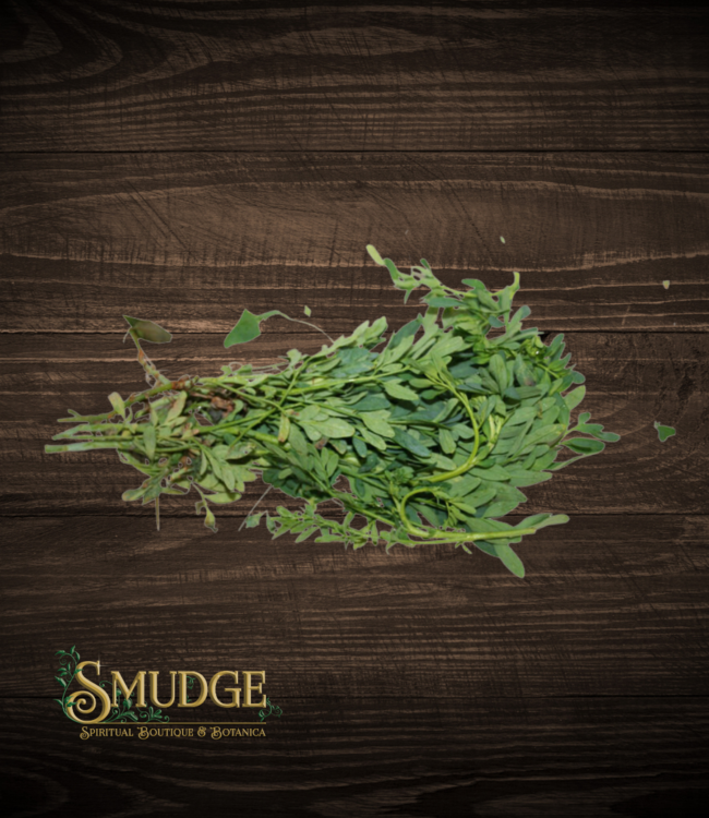 Rue (Ruda) Plant Bath