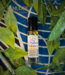 Witch of Walkerville Chakra Balance Oil - rollerball