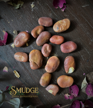 Witch of Walkerville Mojo Beans