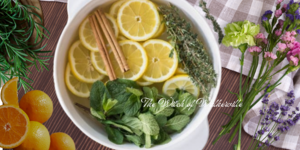 Spring Simmer Pot Recipes