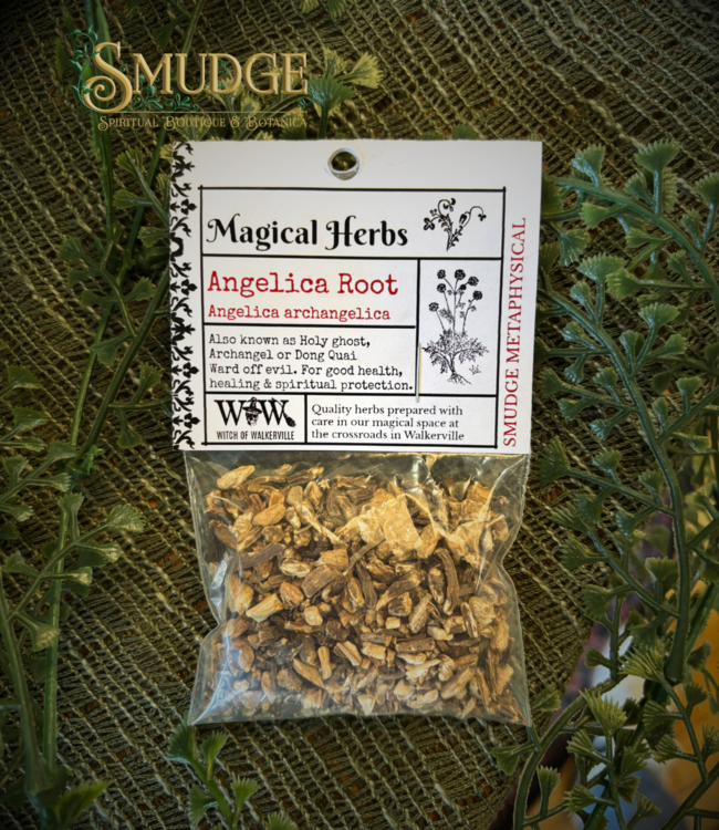 Witch of Walkerville Angelica Root