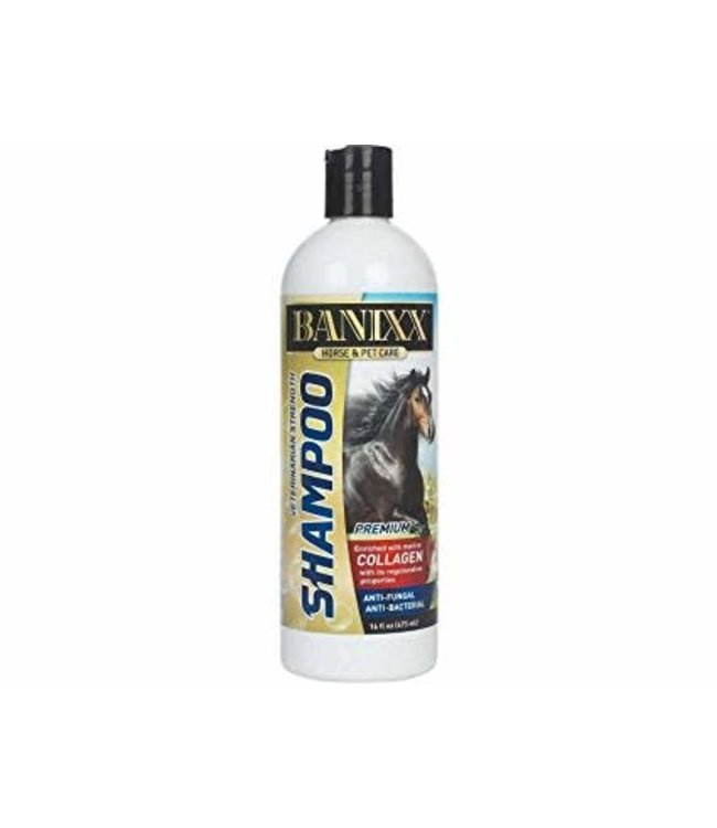 Banixx Shampoo 16oz