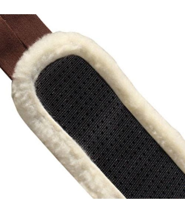 Professional's Choice Ventech Combo Girth