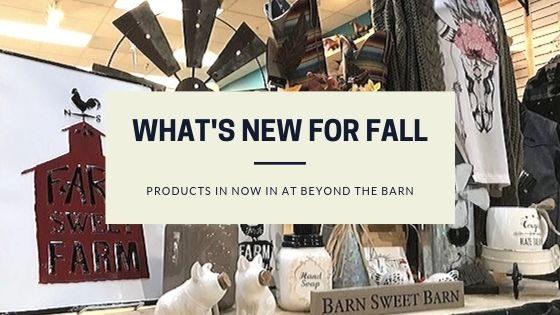 New products for Fall