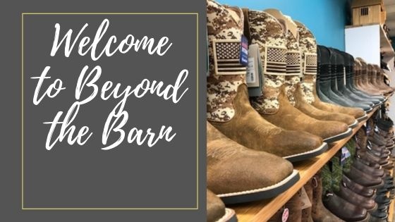 Welcome to Beyond the Barn!