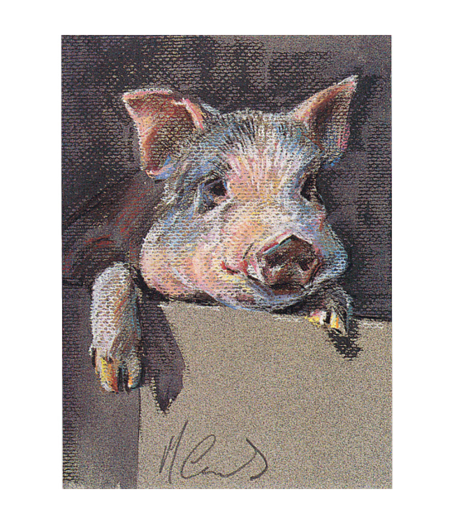 Blank Greeting Cards - Animal Artwork