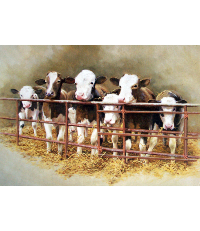 Blank Greeting Cards - Animal Artwork