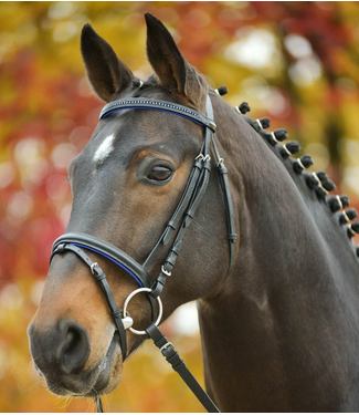 bit and bridle fleece lined jeans