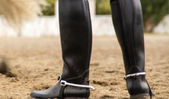 Your source for horse products, equestrian and western apparel, boots -  Beyond the Barn