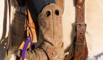 Your source for horse products, equestrian and western apparel, boots -  Beyond the Barn