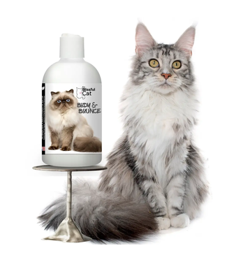 Himalayan cat clearance shampoo