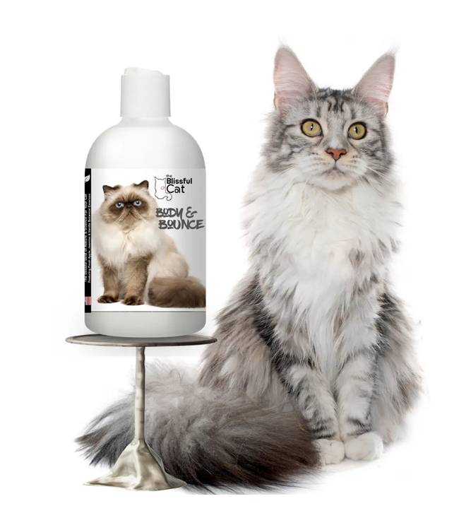 The Blissful Cat Body & Bounce Shampoo for Coats That Need Oomph 8oz
