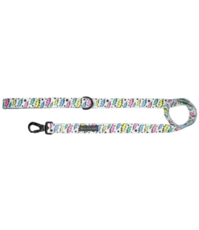 Big and Little Dogs Dog Leash