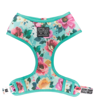 Big and Little Dogs The Classic Print Dog Harness