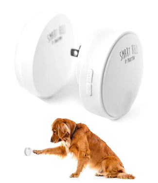 Mighty Paw Smart Bell 2.0