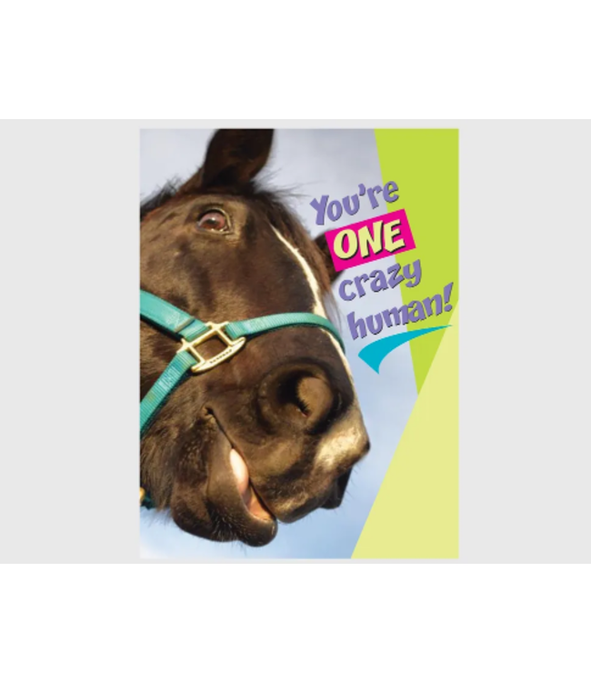 Horse Hollow Press Birthday Card: You're one CRAZY HUMAN!