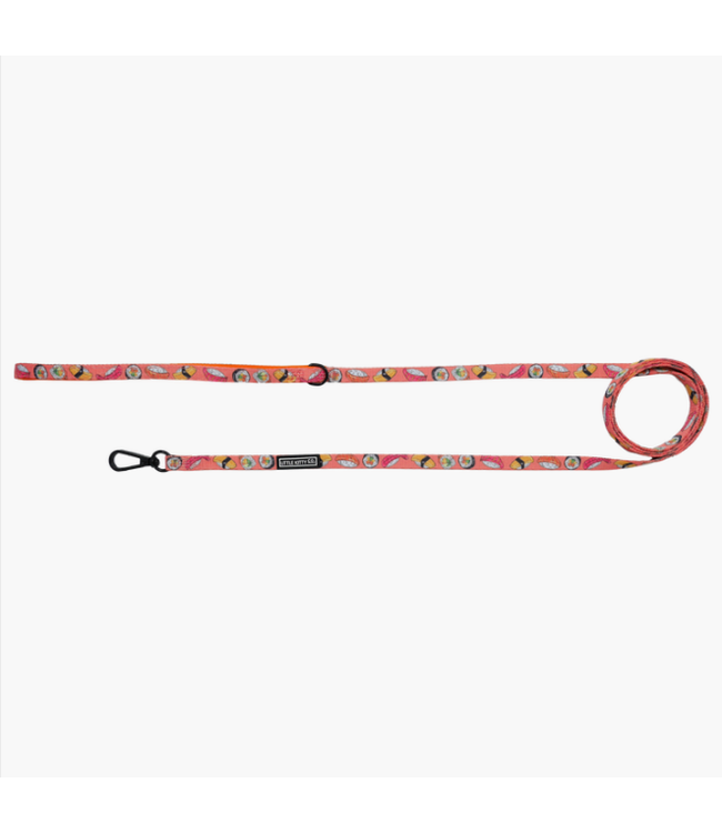 Big and Little Dogs Cat Leash
