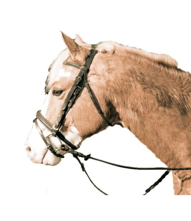 Legacy Plain Padded Bridle with Flash